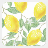 Stickers van leemons en bladeren (Voorkant)