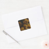 Stickers van leeuwen (Envelop)