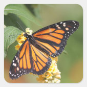 Stickers van Monarch Butterfly (Voorkant)