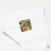 Stickers van Monarch Butterfly (Envelop)