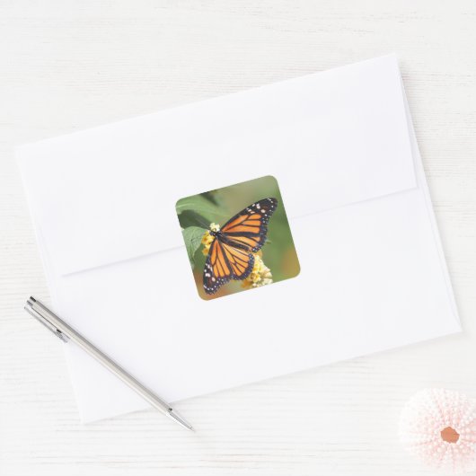 Stickers van Monarch Butterfly (Envelop)