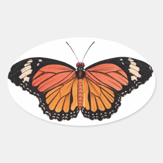 Stickers van Monarch Butterfly (Voorkant)