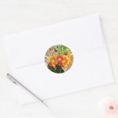  Stickers van Oranje bloemen (Envelop)