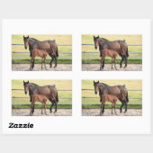 Stickers van paarden (Vel)