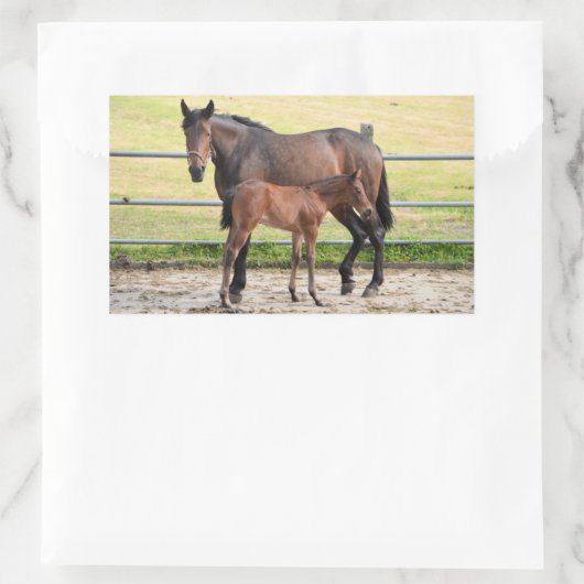 Stickers van paarden (Tas)