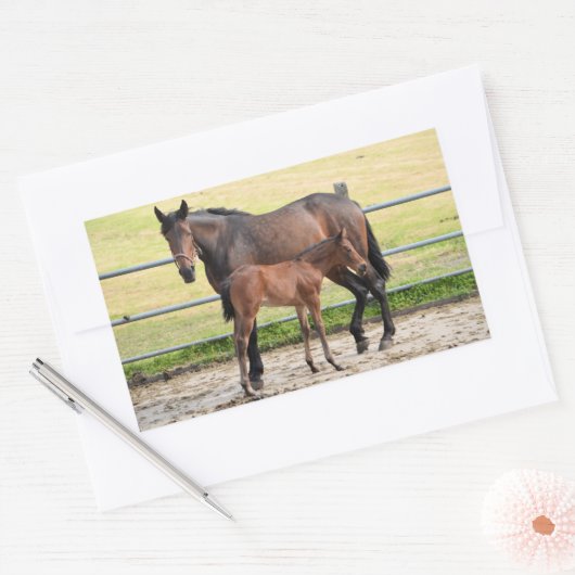 Stickers van paarden (Envelop)