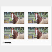 Stickers van paarden (Vel)