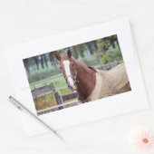 Stickers van paarden (Envelop)