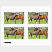Stickers van paarden (Vel)