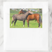 Stickers van paarden (Tas)