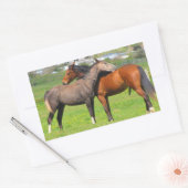 Stickers van paarden (Envelop)