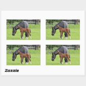 Stickers van paarden (Vel)