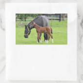 Stickers van paarden (Tas)