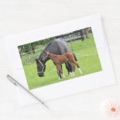 Stickers van paarden (Envelop)