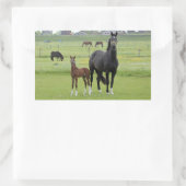 Stickers van paarden (Tas)