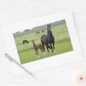 Stickers van paarden (Envelop)