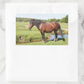 Stickers van paarden (Tas)