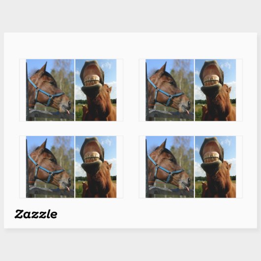 Stickers van paarden (Vel)