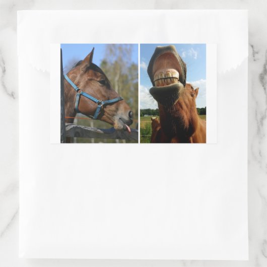 Stickers van paarden (Tas)