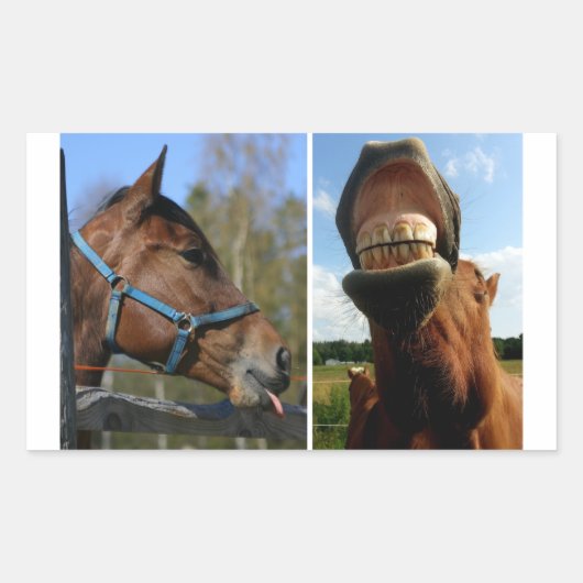 Stickers van paarden (Voorkant)
