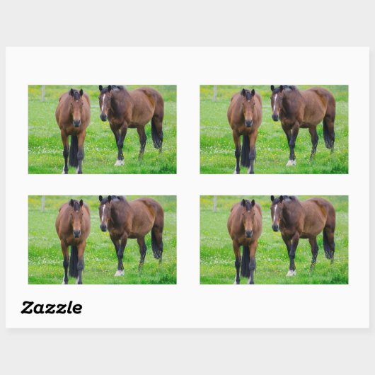 Stickers van paarden (Vel)