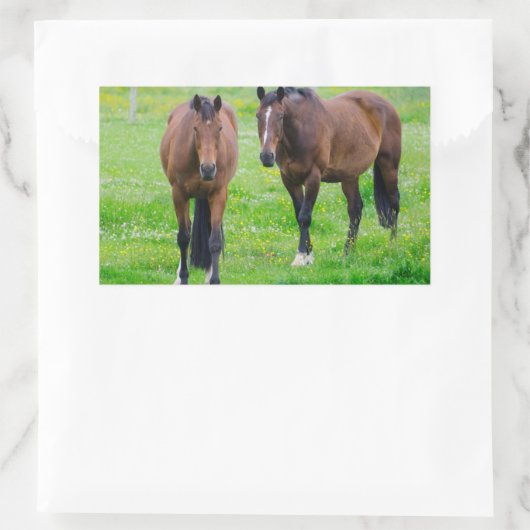 Stickers van paarden (Tas)