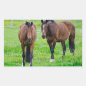 Stickers van paarden (Voorkant)