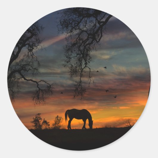 Stickers van paarden en vogels (Voorkant)