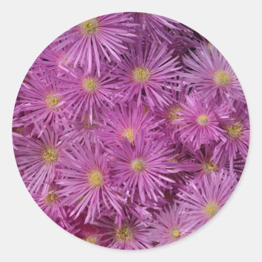 Stickers van Paarse Floral Envelope (Voorkant)