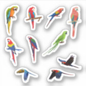 Stickers van papegaaien (Voorkant)