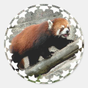 Stickers van Red Panda