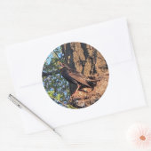 Stickers van staarten (Envelop)