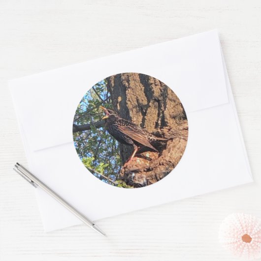 Stickers van staarten (Envelop)