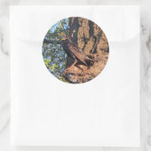 Stickers van staarten (Tas)