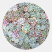 Stickers van Succulent Garden (Voorkant)