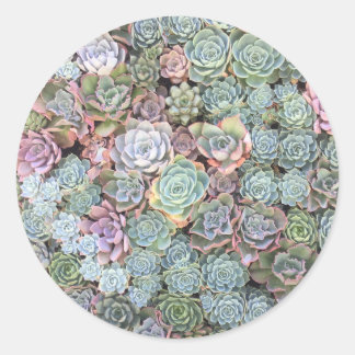 Stickers van Succulent Garden