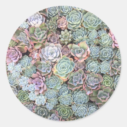Stickers van Succulent Garden (Voorkant)