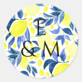 Stickers van vruchten (Voorkant)