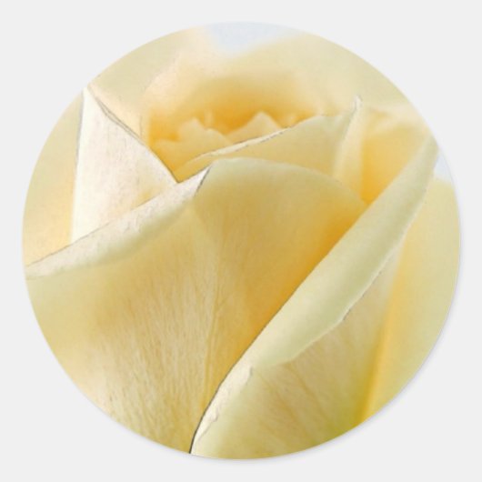 Stickers van witte rozen en envelopsluitingen (Voorkant)