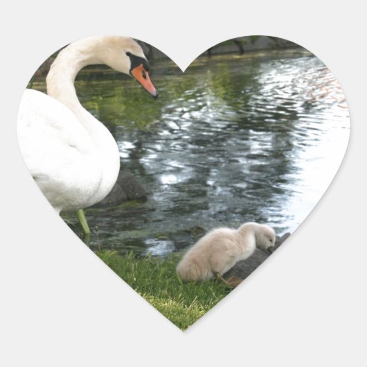 Stickers van zwoerd en cygnet (Voorkant)