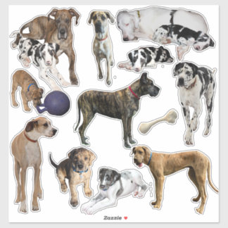 Stickers vel Great Danes