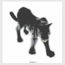 STICKERS VOOR AUTO’S ETC