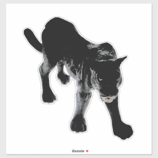 STICKERS VOOR AUTO’S ETC (Vel)