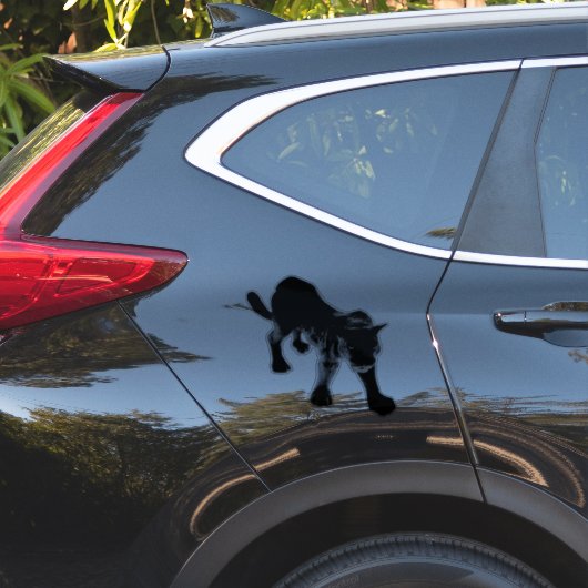 STICKERS VOOR AUTO’S ETC (Auto Zijkant)