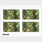 Stickers voor Cucumber Patch Rechthoek (Vel)