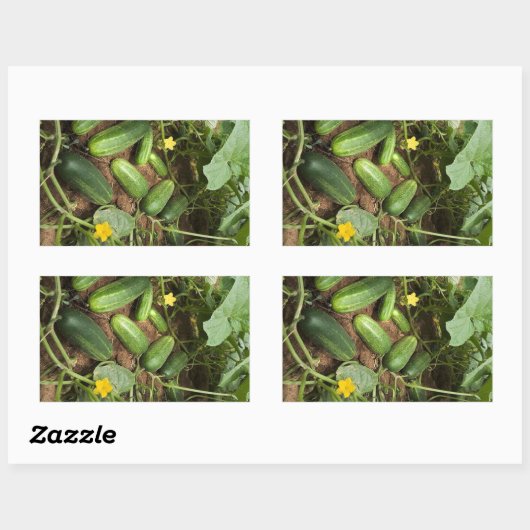 Stickers voor Cucumber Patch Rechthoek (Vel)