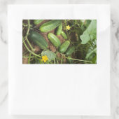 Stickers voor Cucumber Patch Rechthoek (Tas)