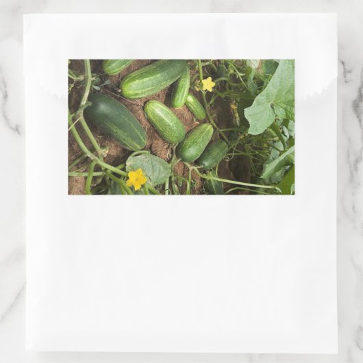 Stickers voor Cucumber Patch Rechthoek (Tas)