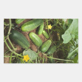 Stickers voor Cucumber Patch Rechthoek (Voorkant)