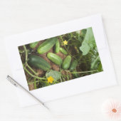 Stickers voor Cucumber Patch Rechthoek (Envelop)